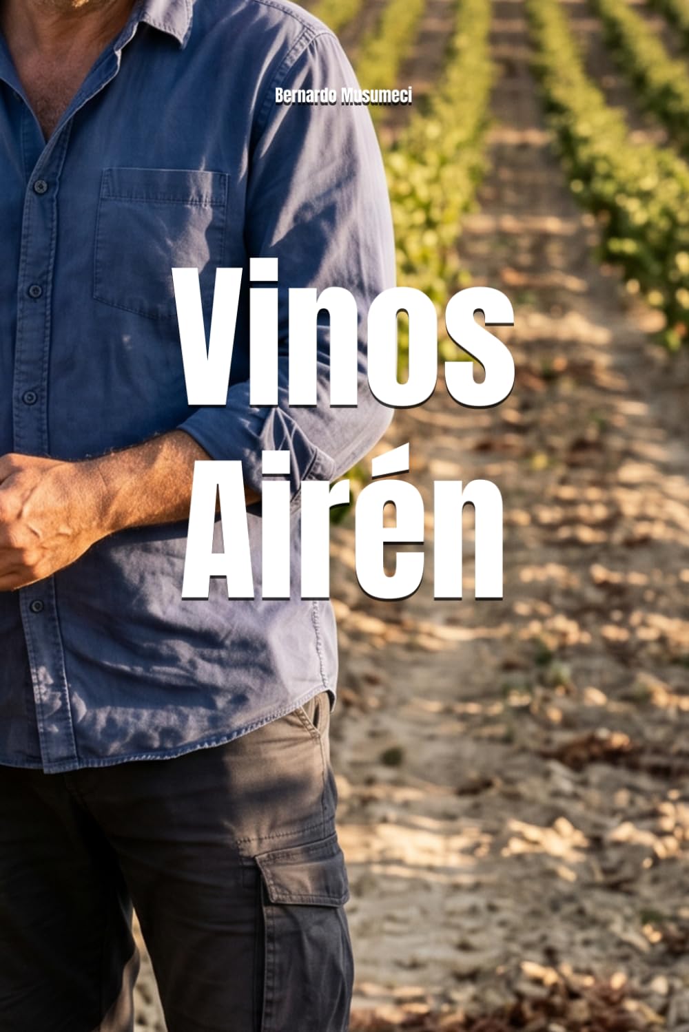 Vinos Airén (Wines of the World: Spain)