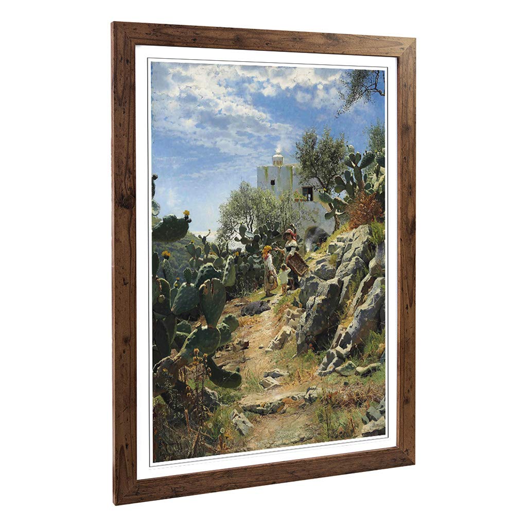 Big Box Art Framed Print of Peder Mork Monstead Cactus Blossom Design | Wall Art Picture | Home Decor for Kitchen, Living Room, Bedroom, Hallway, Walnut, A2 / 24.5x18 Inch / 62x45cm