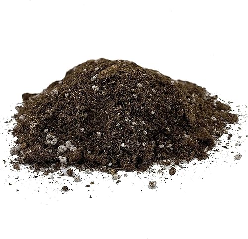 Miniatura 19 de Suelo de árbol del dinero (4 cuartos de galón), mezcla para macetas para plantar/trasplantar Pachira Aquatica, mezcla de suelo personalizada