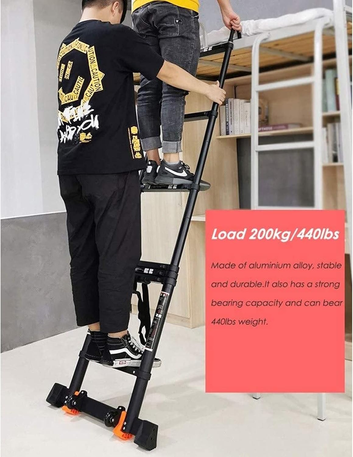 亀の絵 喜田華堂筆 刀剣がみられる場所／ホームメイト