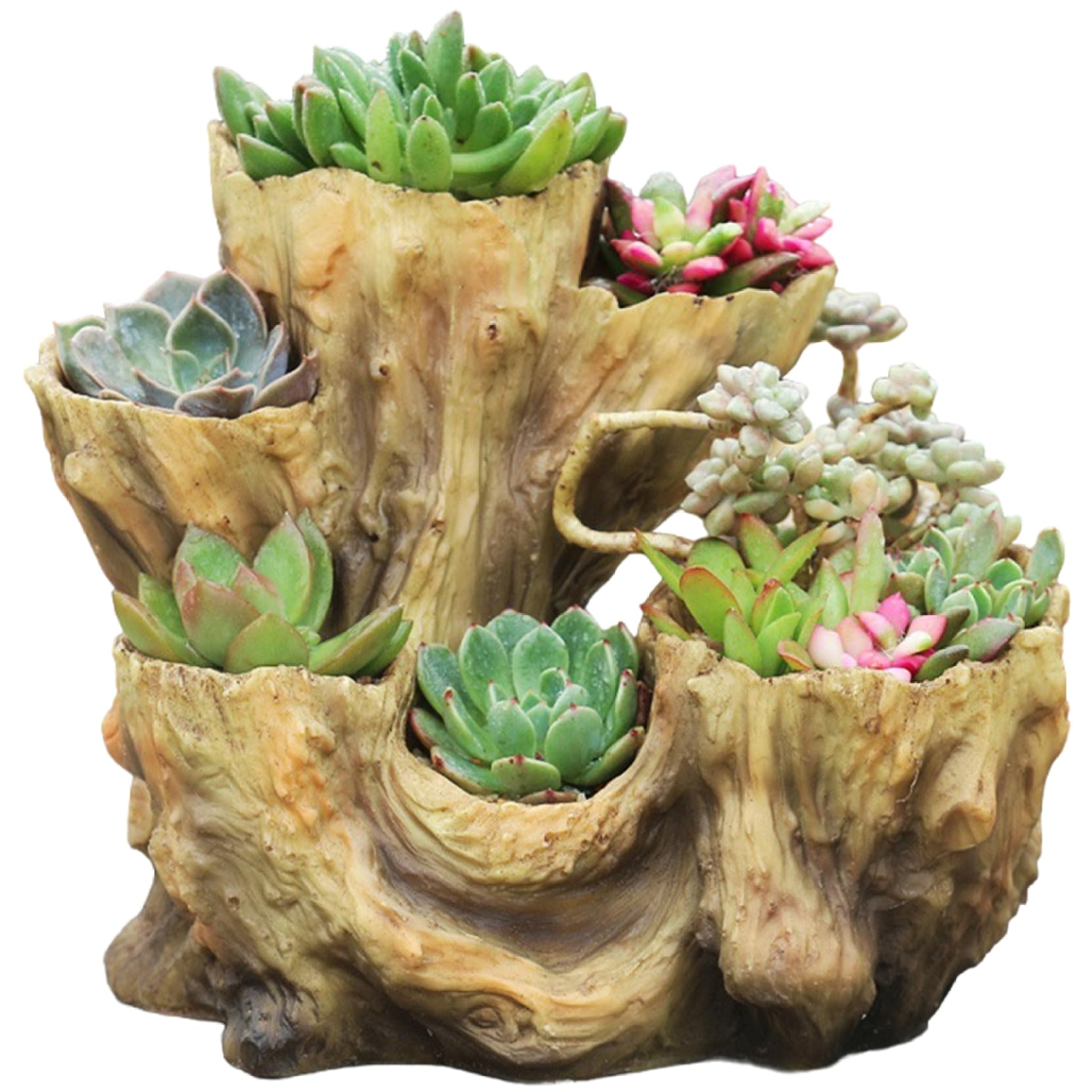 Yeaxxsqy Driftwood Planter, Irregular Resin Rustic Planter Creative Imitation Wood Stump Succulent Pots for Herb, Flower, Strawberry, Small Plants (Red), Pot