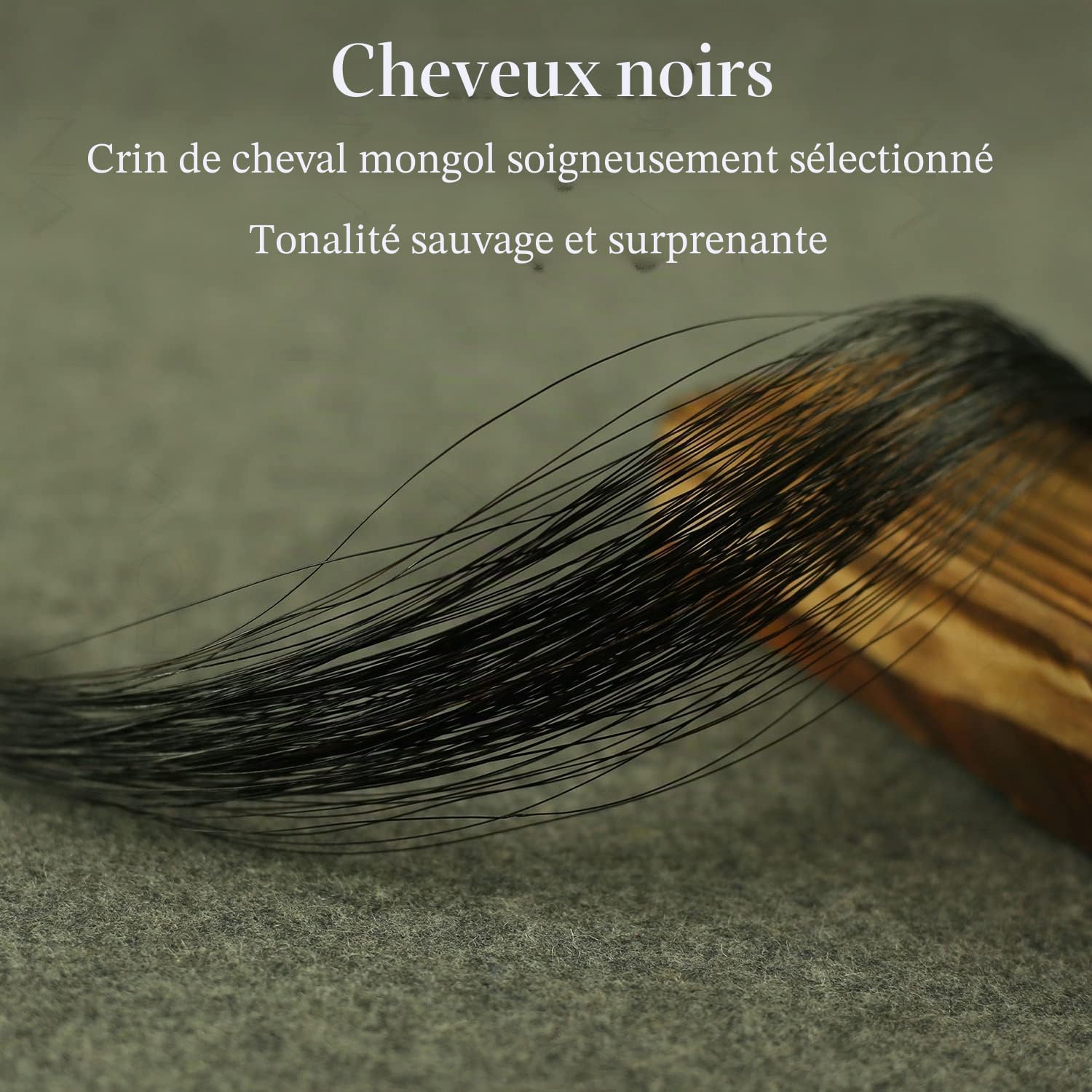 archet d'alto en fibre de carbone 4/4 noir naturel mongolie crin de cheval chaud ton doux 100MB