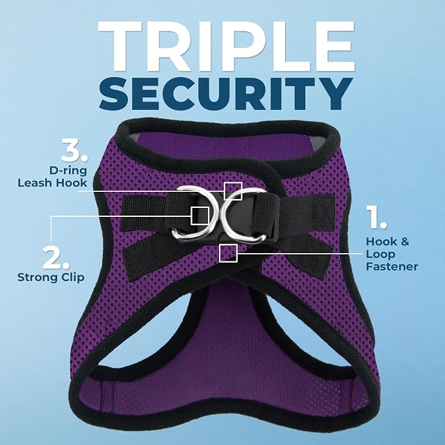Foto 2 de 8 de Best Pet Supplies Voyager Step-in Air