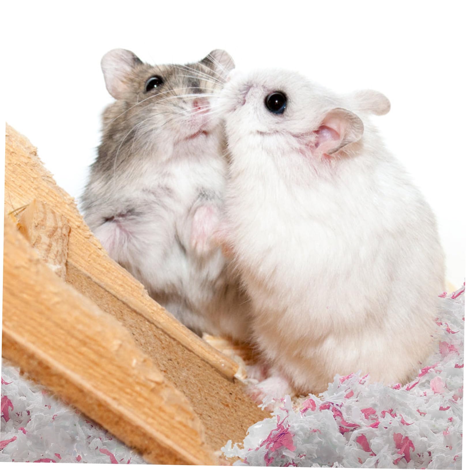 Lettiera in Carta Bianca 450g, Materiale da Nido per Gerbilli e Cincillà, Assorbe L’umidità e Mantiene Pulita la Gabbia per Animali Domestici