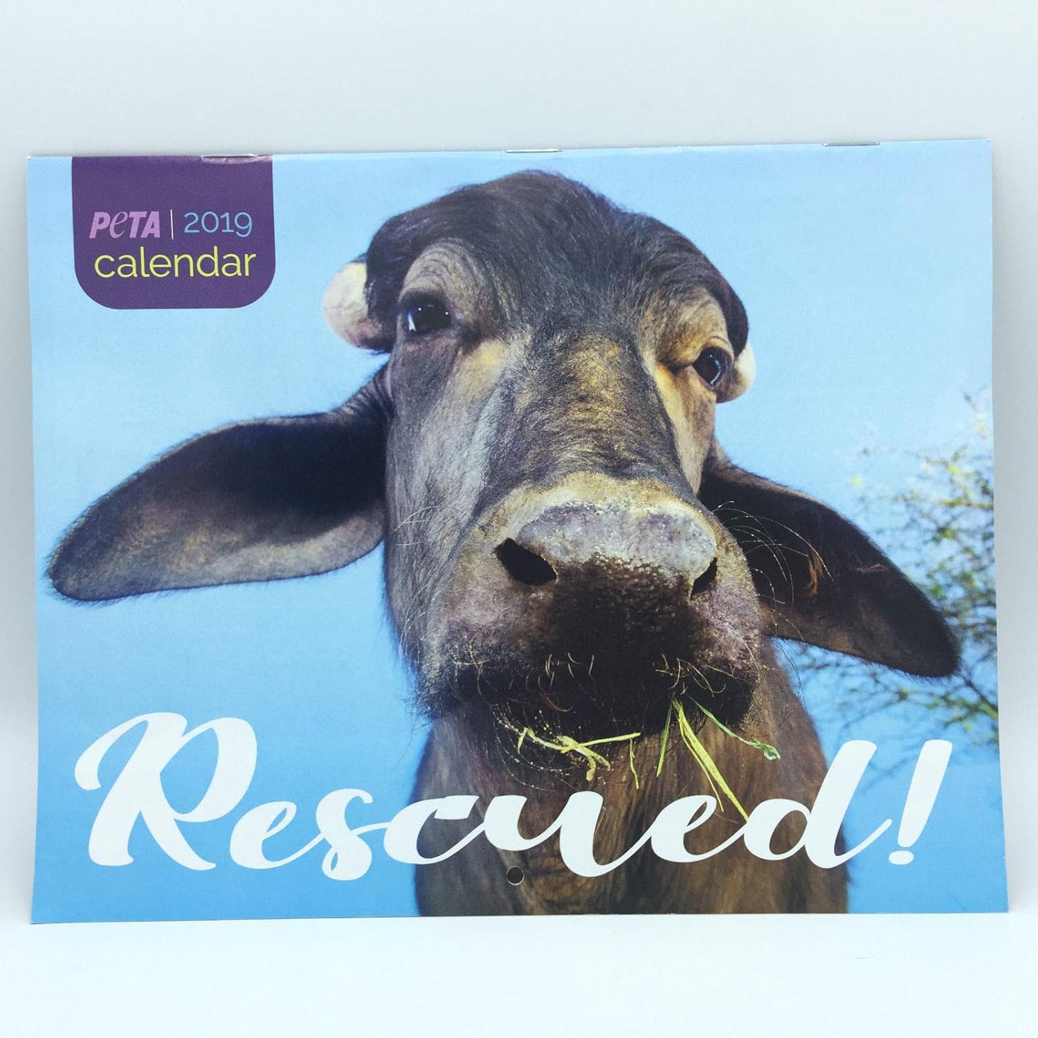 Rescued 2019 PETA Calendar Office Products