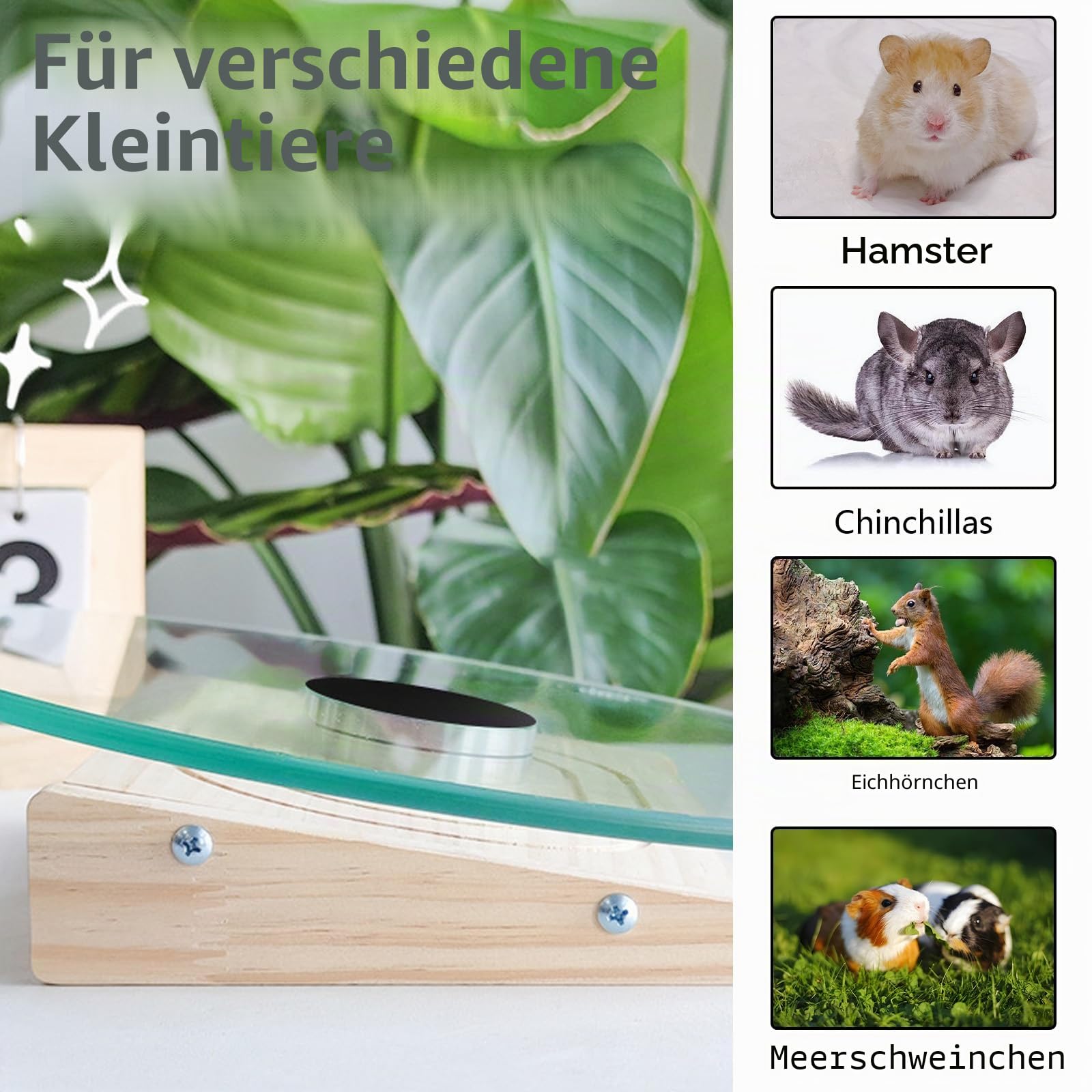 Chinchilla Laufrad, 28 cm Glas Hamsterrad Chinchilla-Spinner-Rad mit Metalllager Leises Hamster-Sportrad Laufräder für Kleintiere Laufspinner für Chinchillas Meerschweinchen Hamstern