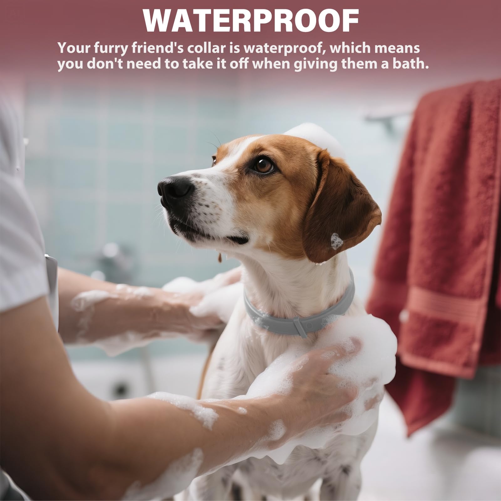 2er-Pack Zeckenhalsband für Hunde – Natürliches Ätherisches Öl, Wasserdicht & Verstellbar für Welpen und Hunde ab 8 Wochen, 16 Monate Schutz – Sicher mit Pflanzlichen Inhaltsstoffen