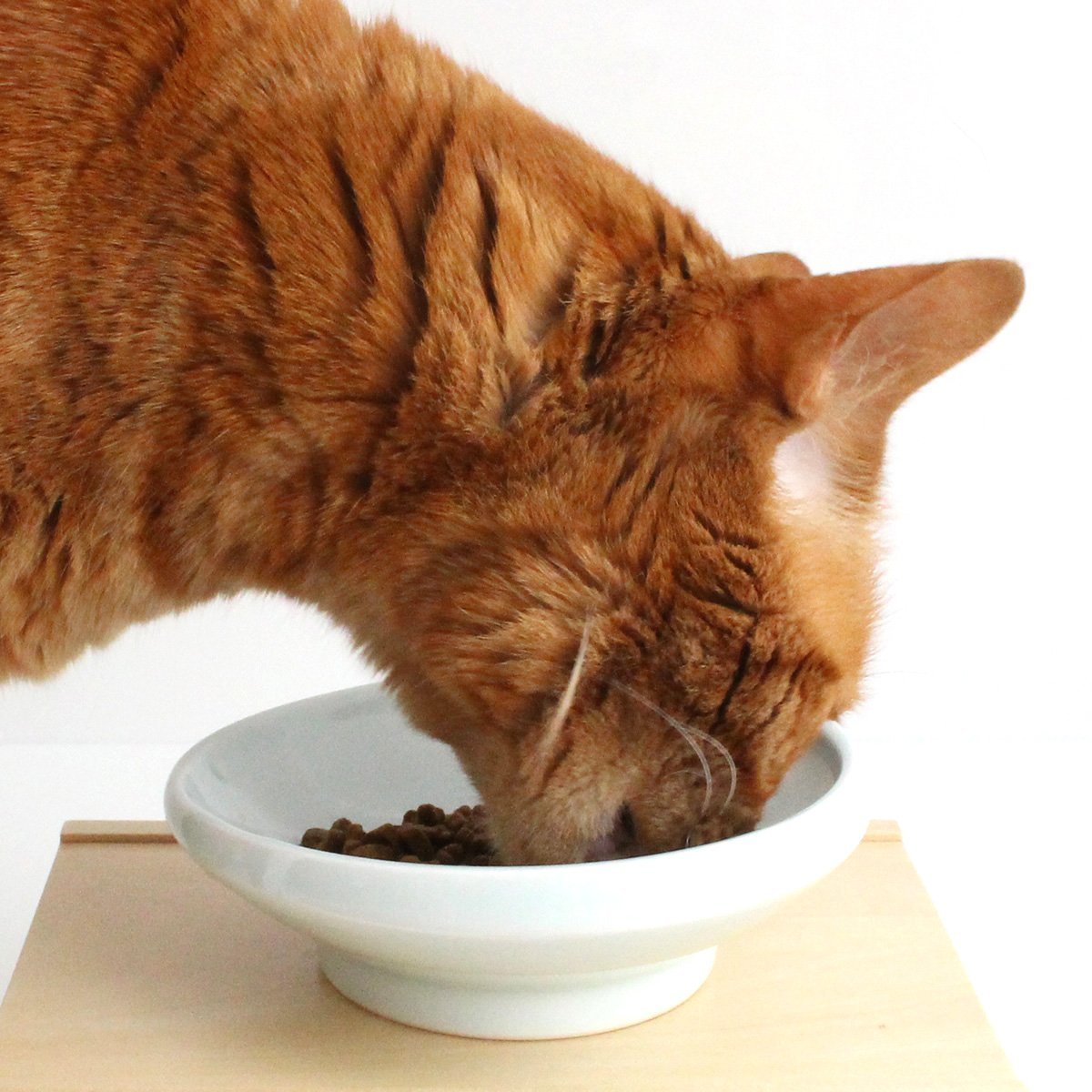 Amazon | nekozuki まんまボウル 斜め機能性 磁器 介護用 猫 食器
