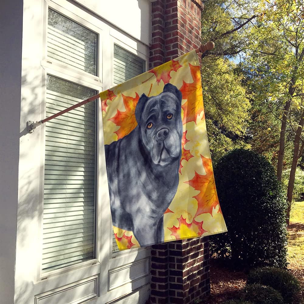 Caroline's Treasures BB9955CHF Cane Corso Fall House Flag, Yellow Large Porch Sleeve Pole Decorative Outside Yard Banner Artwork Wall Hanging, Polyester, House Size, Multicolor