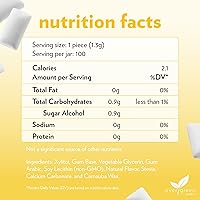 Vista 2 de Evergreen Sweets Chicle – Tarro de 100 piezas – Chicle de frutas tropicales naturales hecho con xilitol y stevia – sin azúcar, sin aspartamo y vegano