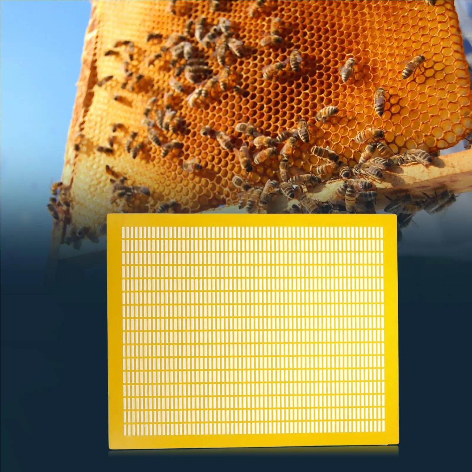 Outils apicoles, Cadre De Ruche Pratique Et Indépendant En 6 Pièces Avec Entrée(Yellow)