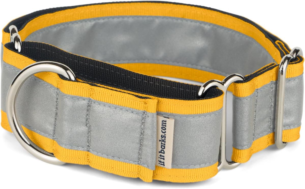 If It Barks - 1.5" Reflective Martingale Collar for Dogs - Adjustable - Made in USA - Strong, Durable, and Comfy - Ideal for Training - Suitable for Most Breeds - Medium, Yellow Gold
