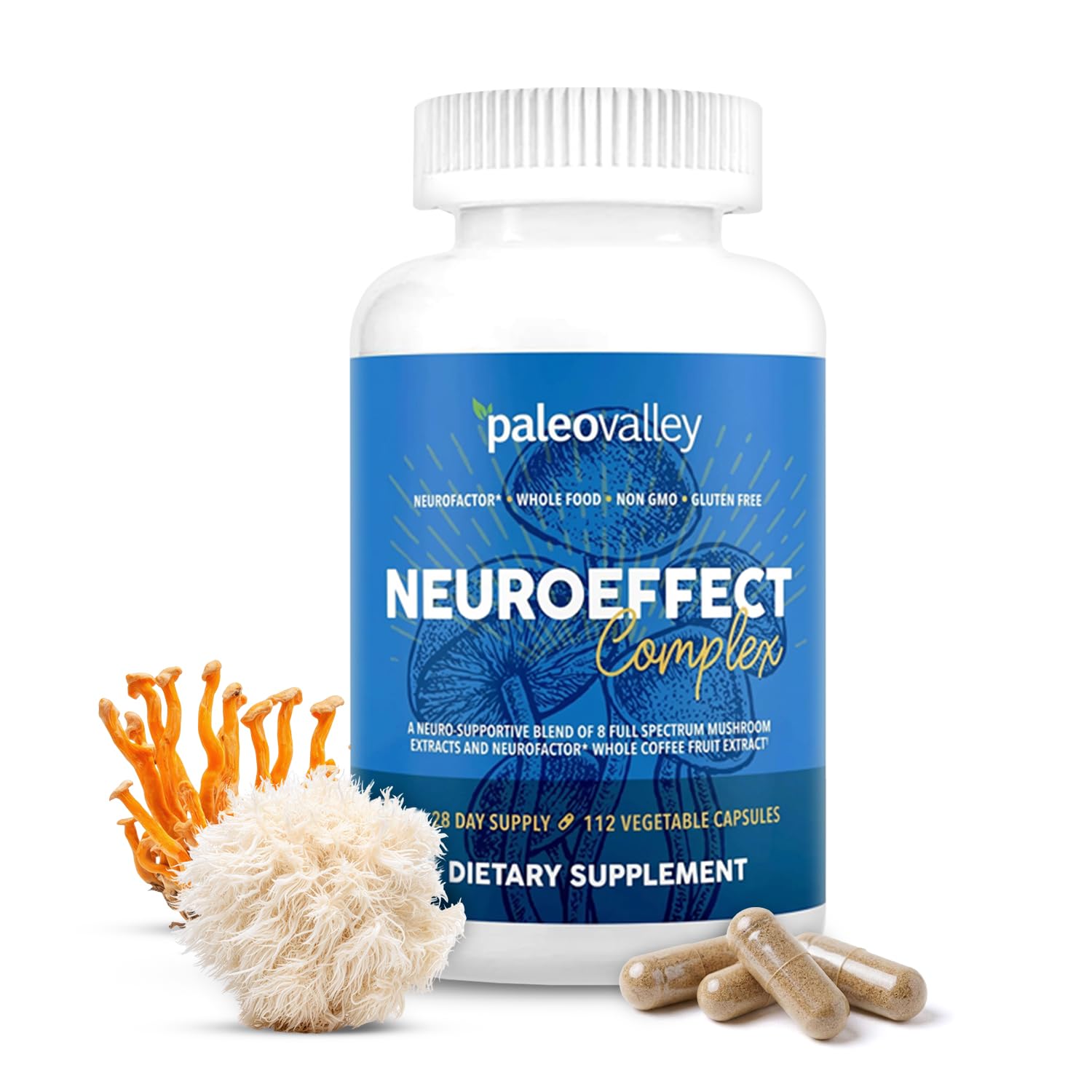Paleovalley NeuroEffect