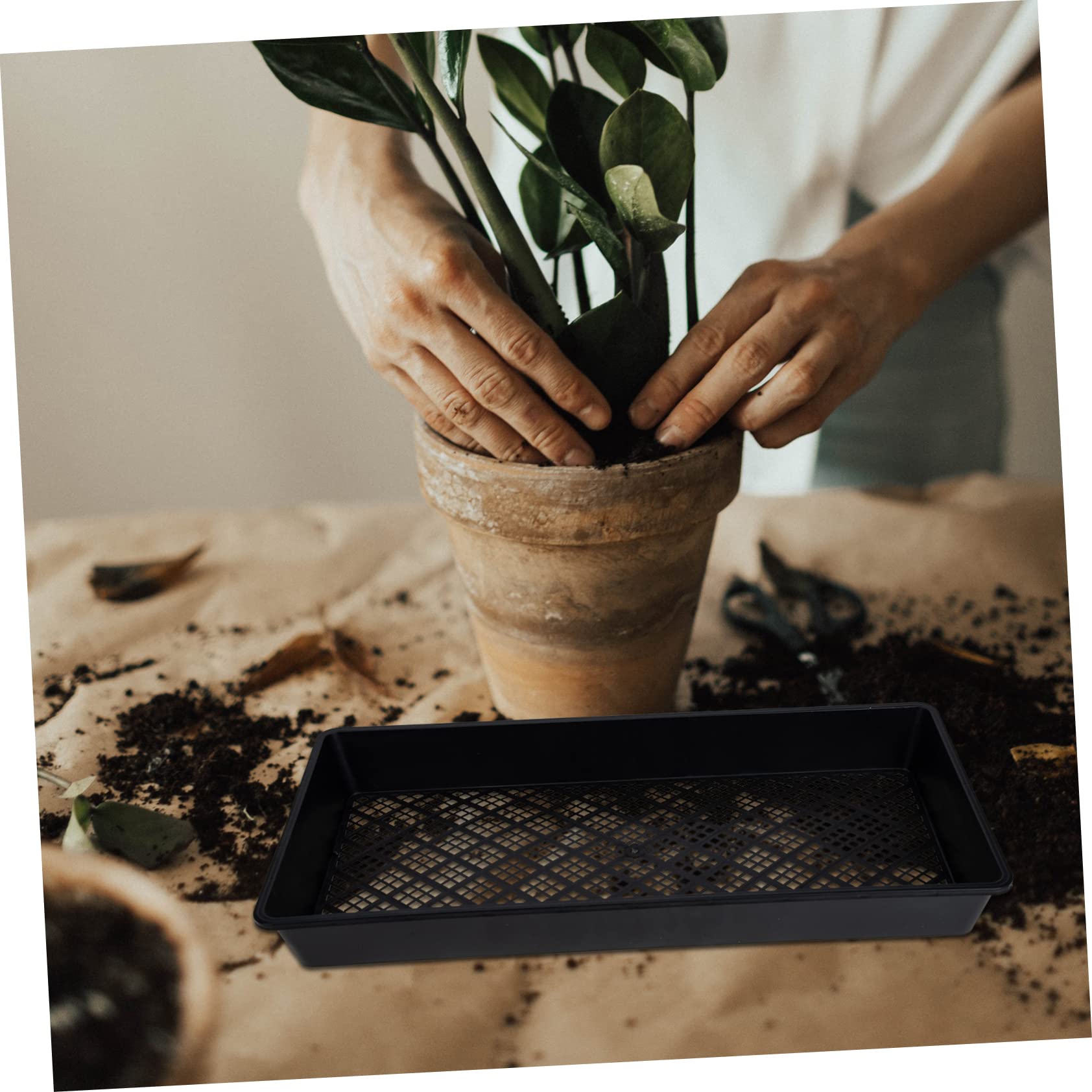 Mipcase 6pièces Lot de Plateaux de Germination à Fond Creux pour Pépinière et Semis de Plantes Micro-pousses