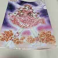 神風怪盗ジャンヌ　種村有菜 クリアファイルセット Amazon.co.jp: 神風怪盗ジャンヌ クリアファイル 種村有菜 原画