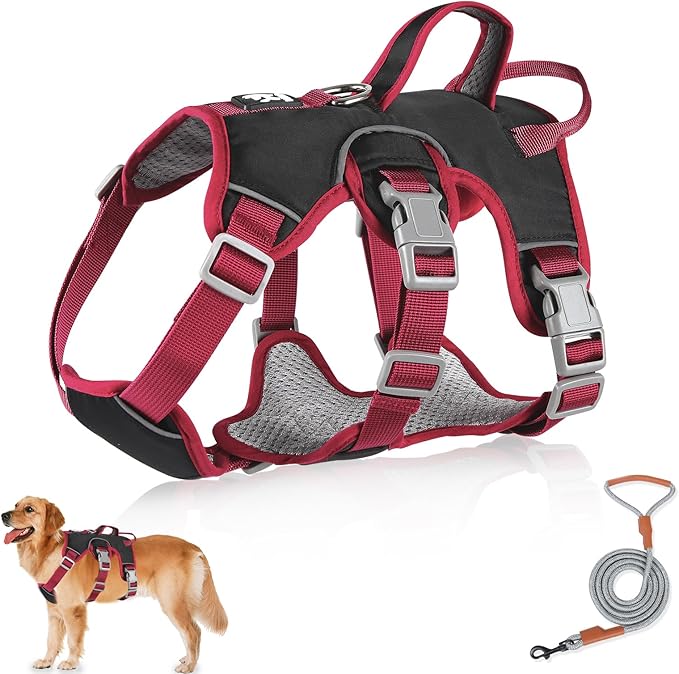 Sicherheitsgeschirr Für Hunde - Ausbruchsicher Mit 2 Bauchgurten