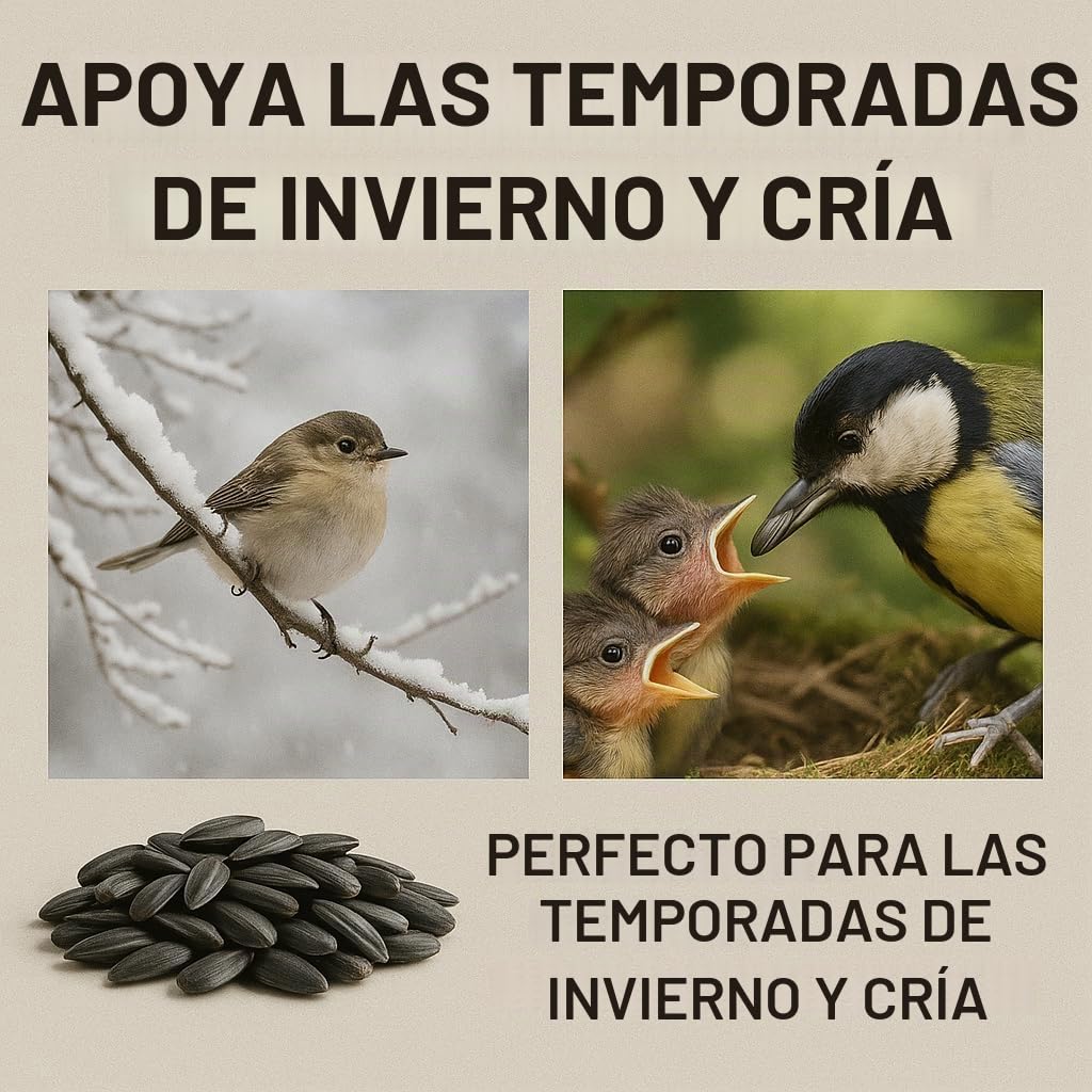 GiDeli Semillas de girasol negras 25 kg, Pienso Salvaje para Pájaros Silvestres para Todo el Año, Alimento para Caballos y Pequeños Animales