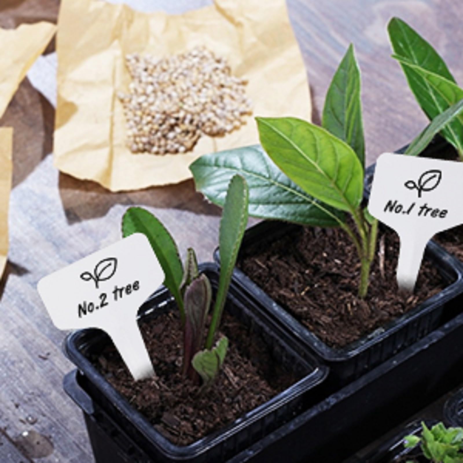 KINGLAKE GARDEN Etichette per piante, etichette in plastica per il nome delle piante, 200 etichette da giardino da 10 cm, etichette per semi di tipo T, etichette per vivai, etichette per semi per