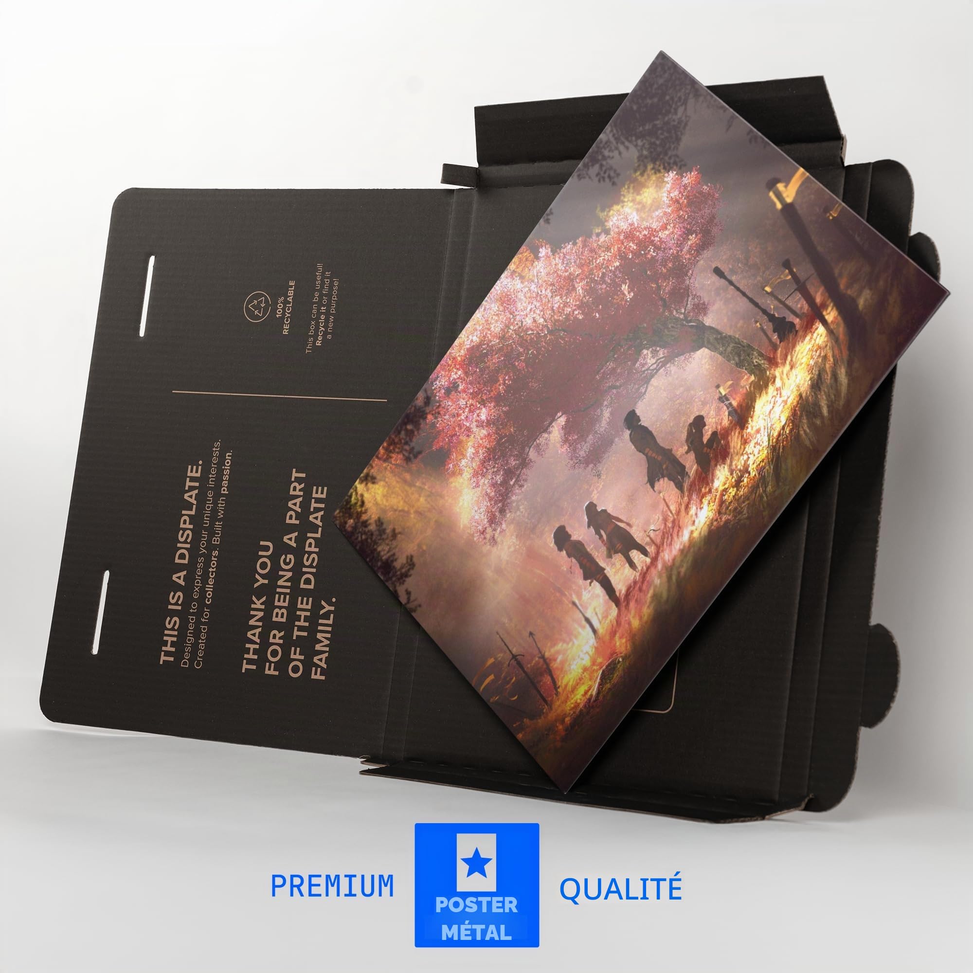 Displate Officiel Clair Obscur: Expedition 33 Poster - Sword Graveyard - Métallique Fixation Magnétique Licence Officielle Image Affiche de Haute Qualité 45 cm x 32 cm