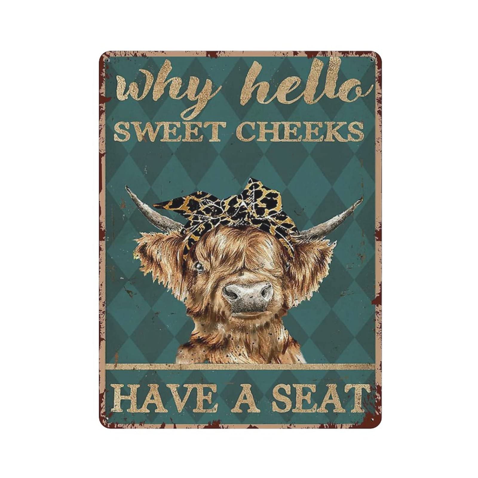 AOOEDM Why Hello Sweet Cheeks Have A Seat Vintage Metal Sign for Home Shop Coffee Garage Man Cave Signs Wall Plaque Kitchen Bar Sign Wall Decor Poster