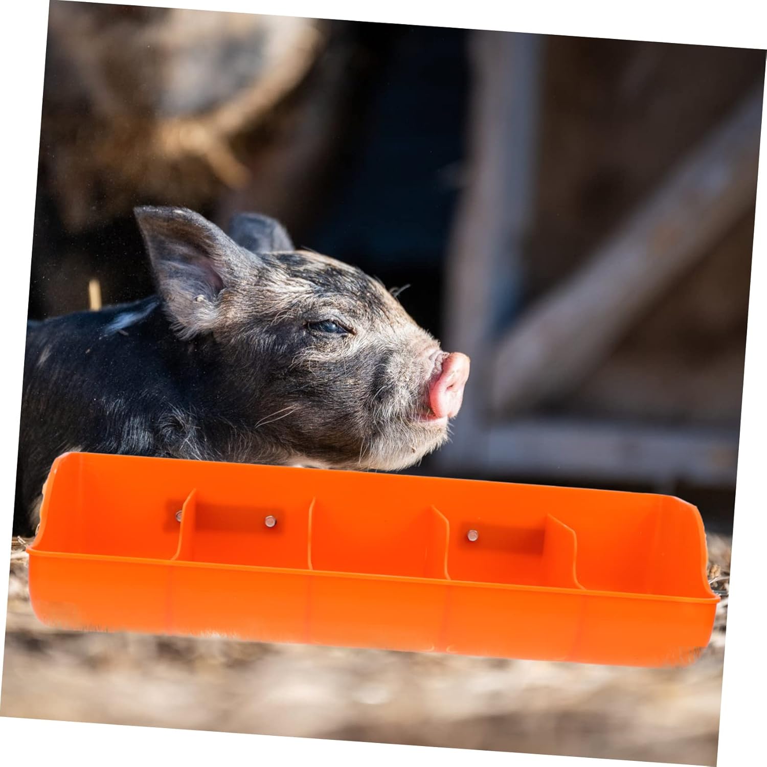 Yardwe Piggy Trough Vessel Tools Ferret Playpen Bunny Feeder Ferret Feeder Plastic Chicken Feeder Piglet Water Feeder Piglet Feed Dispenser Livestock Manger Livestock Feeding Manger Suite