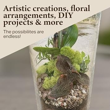 Preserved Reindeer Moss - Moss for Crafts, Home Decor, Art, Design & DIY Projects - Non-Toxic - USA Made (Spring Green, Small)