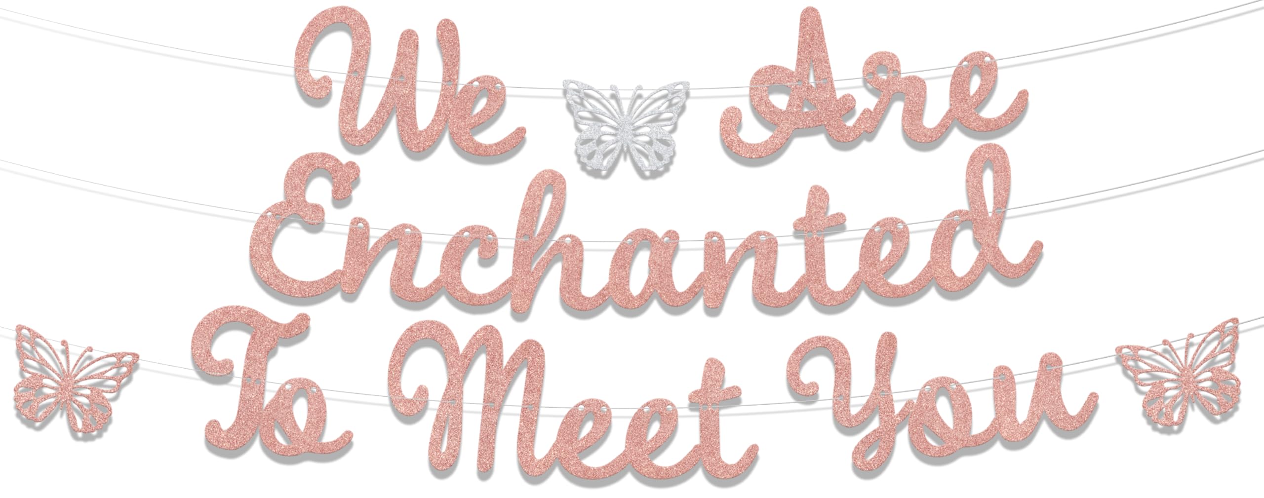 ZCXVC We Are Enchanted to Meet You Banner Butterfly Themed Baby Shower Party Decoration Supplies Rose Gold Glitter