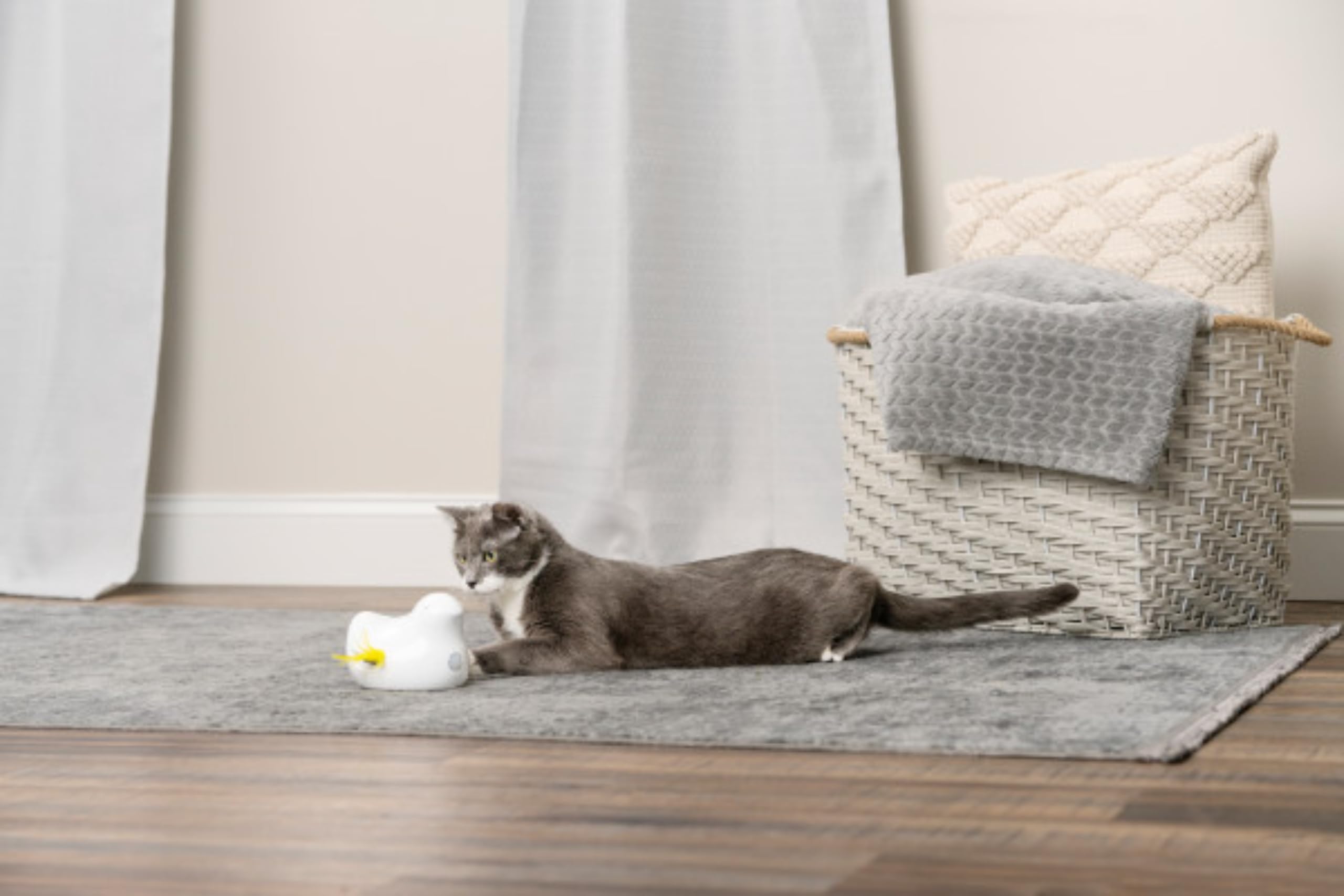 PetSafe Gioco Elettronico per Gatti Peek-A-Bird