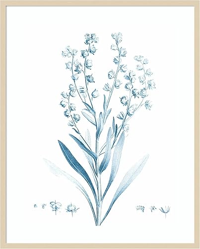 Miniatura 6 de Amanti Art Vision Studio - Lienzo decorativo para pared, 24 x 20 pulgadas, botánico antiguo en azul I por Vision Studio, arte de pared de flores,