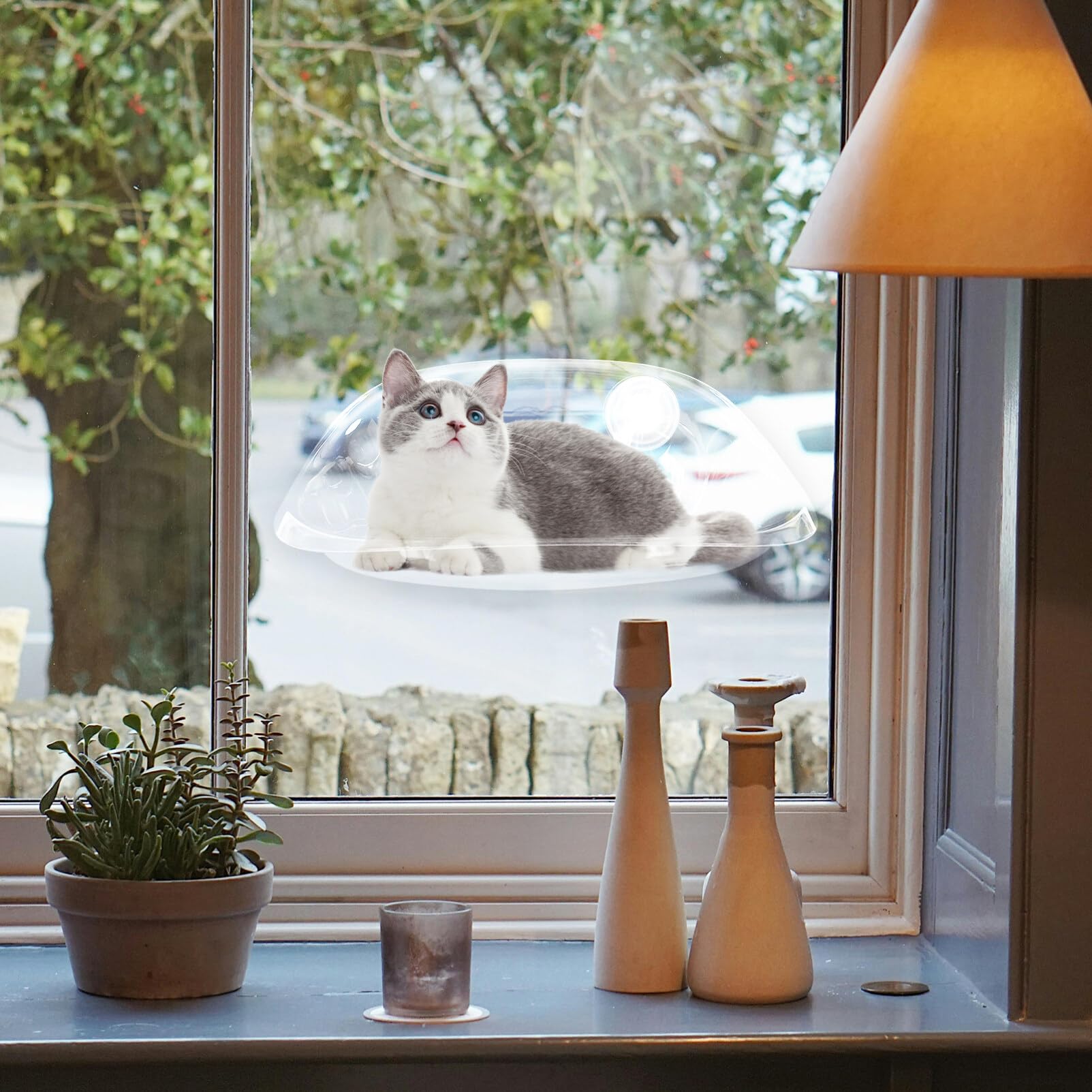 SUPVOX Cama con Percha para Ventana para Gatos Hamaca con Ventana para Gatos De Plástico Transparente Cama para Ahorrar Espacio para Gatitos Estante Montado En La Ventana con 2 Ventosas