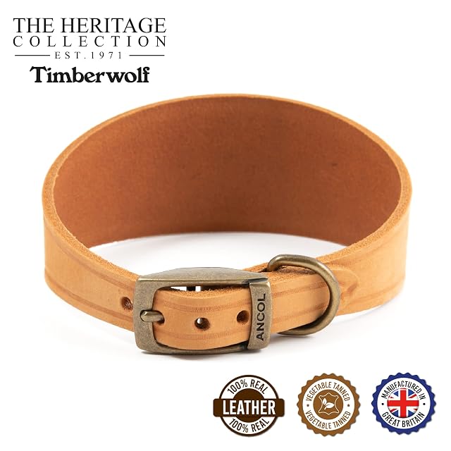 Foto 2 de 5 de Ancol Timberwolf - Collar de Perro de Cuero para Galgo en Mostaza, Cuero de Grano Superior, cómodo…