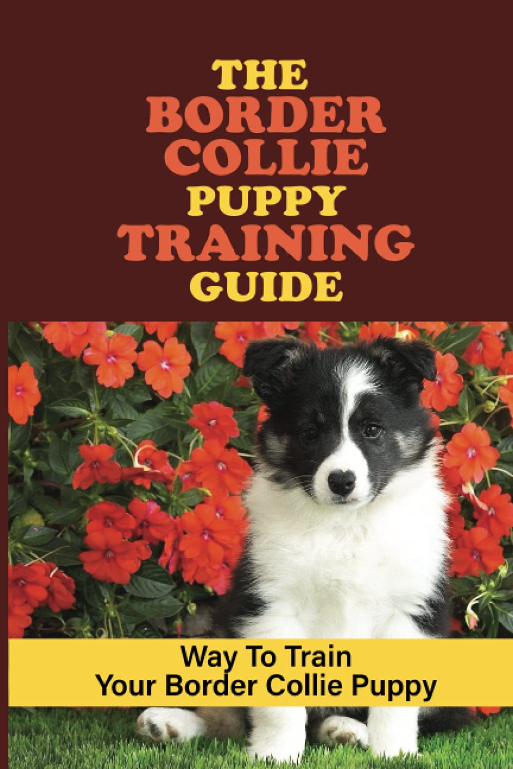 The Border Collie Puppy Training Guide: Way To Train Your Border Collie Puppy: Border Collie Puppy Training Program