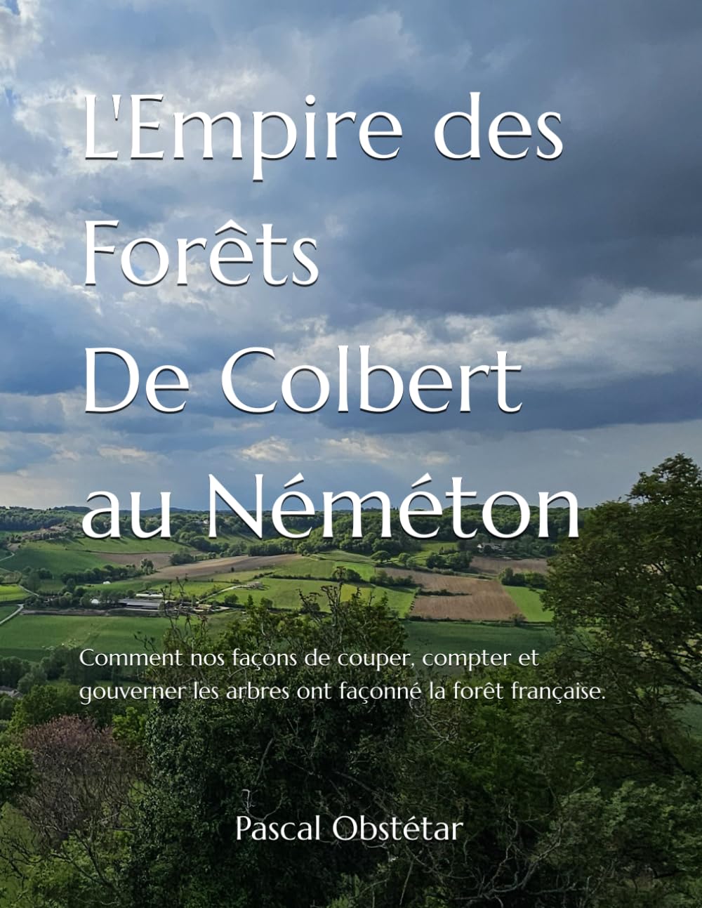 L'Empire des Forêts - De Colbert au Néméton: Comment nos façons de couper, compter et gouverner les arbres ont façonné la forêt française.
