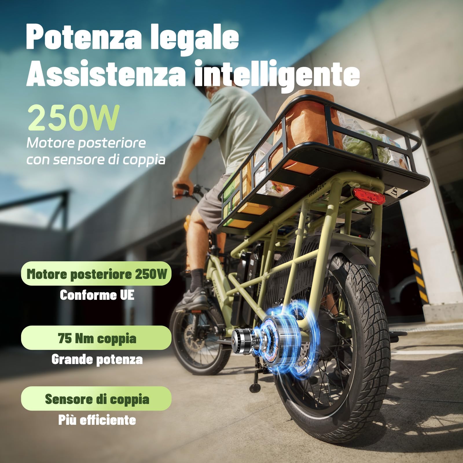 Fafrees FF20 CUV Bici Elettrica Cargo con Sensore di Coppia, Doppia Batteria 48V24Ah, Autonomia Fino a 140km, E-Bike Familiare con Cesto Posteriore Carico 200kg, Freni Idraulici, 20x3.0 Fat Tire