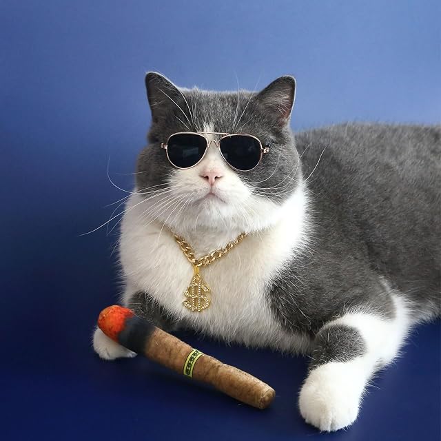 Foto 4 de 8 de ZBIianxer Collar de gatos con colgante de letra de dólar PETTE SOL menta menta juguete para gatos Navidad…