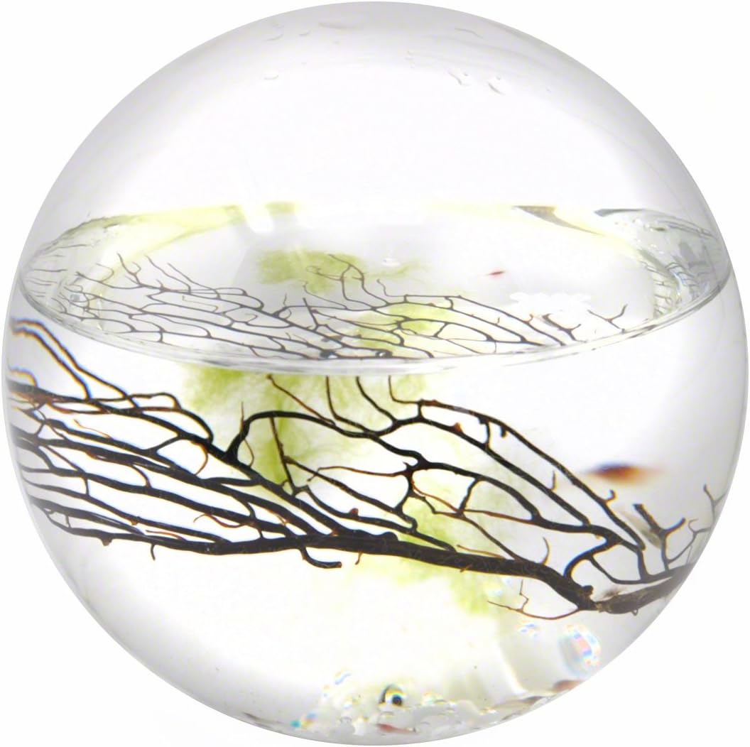 Ecosphere Medium Sphere