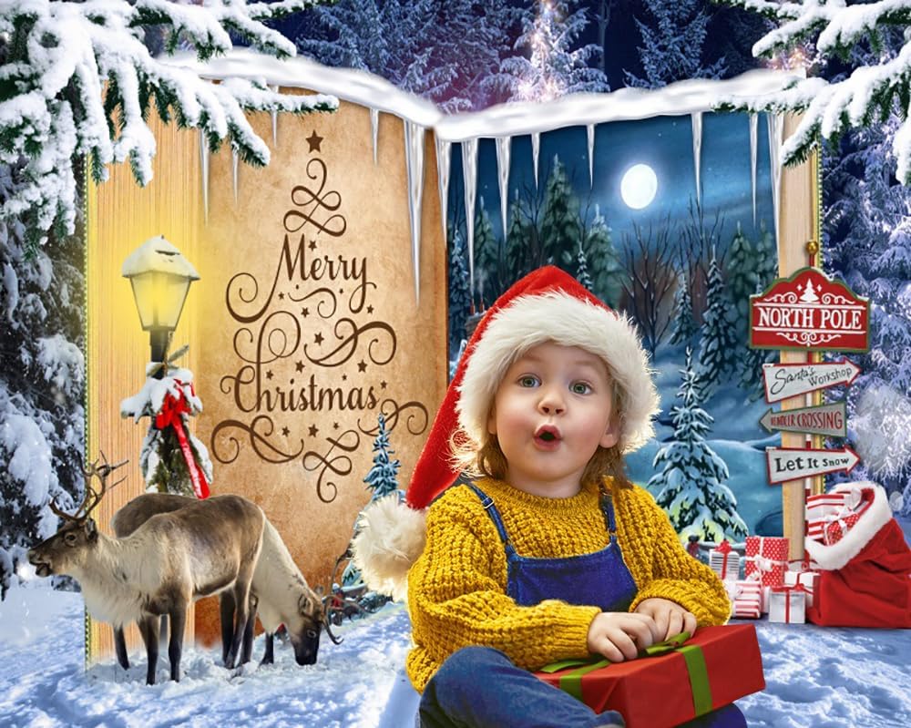 12x8ft Christmas Backdrop for Photography Fairy Style Door to Christmas Village Background for Party Decorations North Pole Winter Wonderland Night Scenery Backdrop Photo Shoot Props Banner