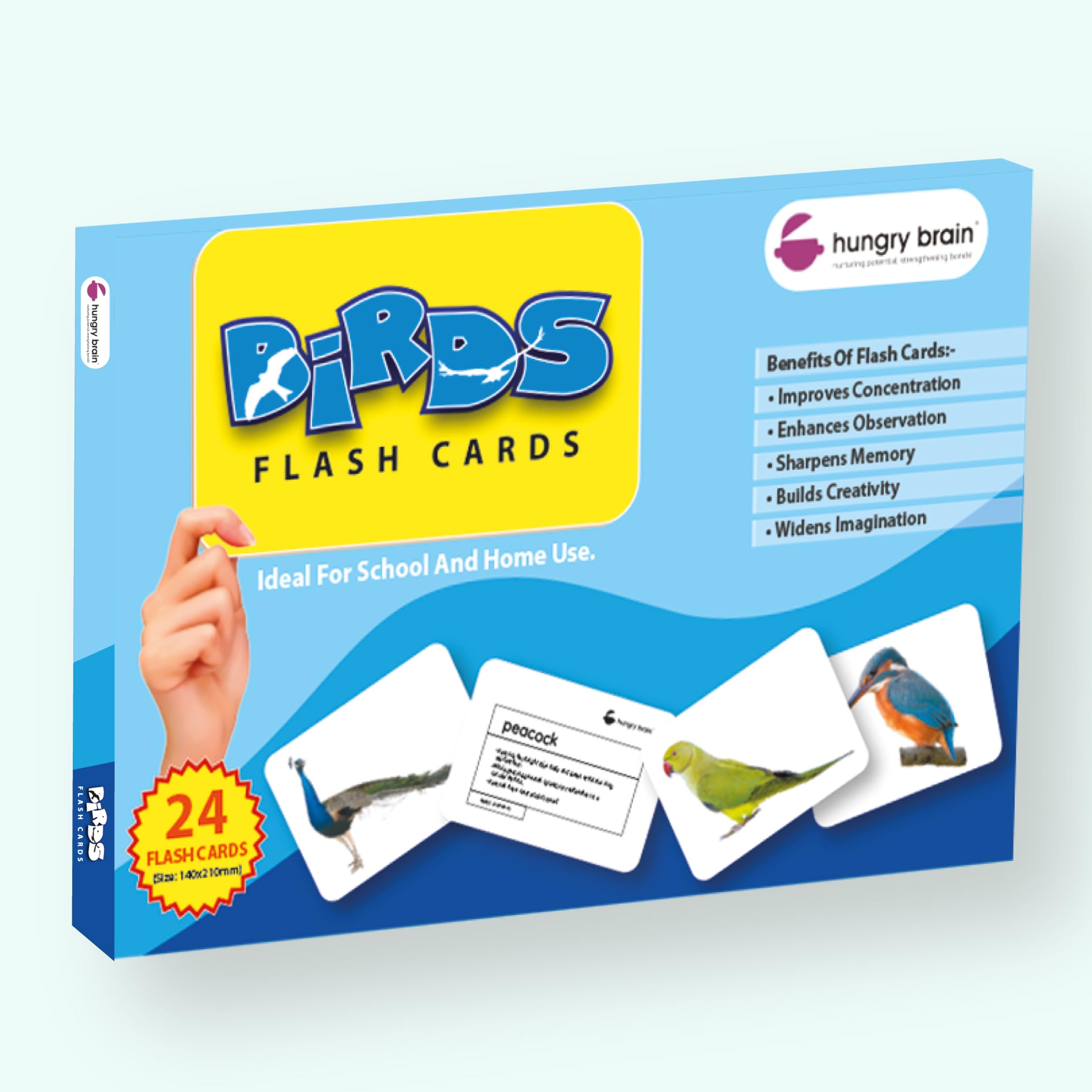 hungry brain Toddler Flash Cards Birds, Double-Sided Flash Cards for Toddlers 1-4 Years, 24 Real Image Cards, Montessori Toys, Educational Preschool Learning Activities for Kids (B0DCW5X4Y2) Amazon Price History, Amazon Price Tracker