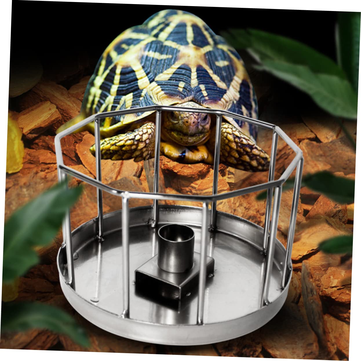 Happyyami Stal Nierdzewna Automatyczny Poidełko Dla Gadów Miska Do Picia Dla Żółwi i Jaszczurek Łatwa Czyszczeniu Idealna Do Terrarium Mała Srebrna