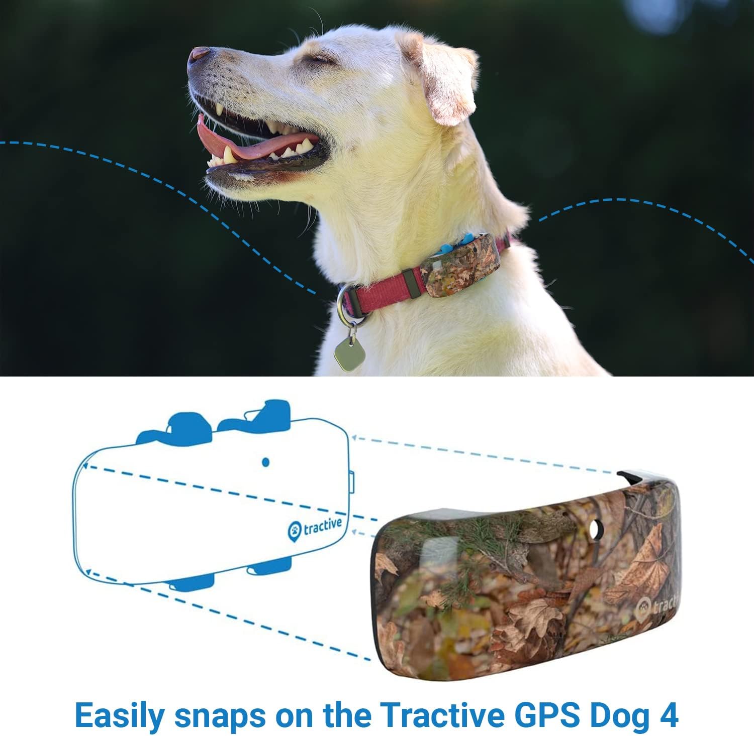 tractive gps dog tracker cover forest