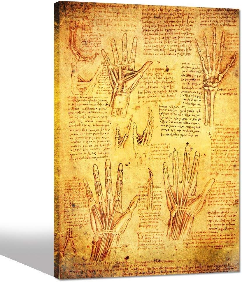 Sea Charm- Anatomy Art by Leonardo Da Vinci Giclee Canvas Print,Vintage Wall Art Decor,Famous Painting Reproduction Canvas Artwork Ready to Hang -24" x 36" (Hand)
