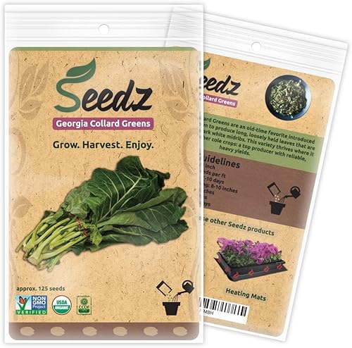 Semillas de col orgánica, APPR. 125, Georgia Collard Greens, semillas vegetales tradicionales, orgánicas certificadas, sin OMG, no híbridas, EE. UU