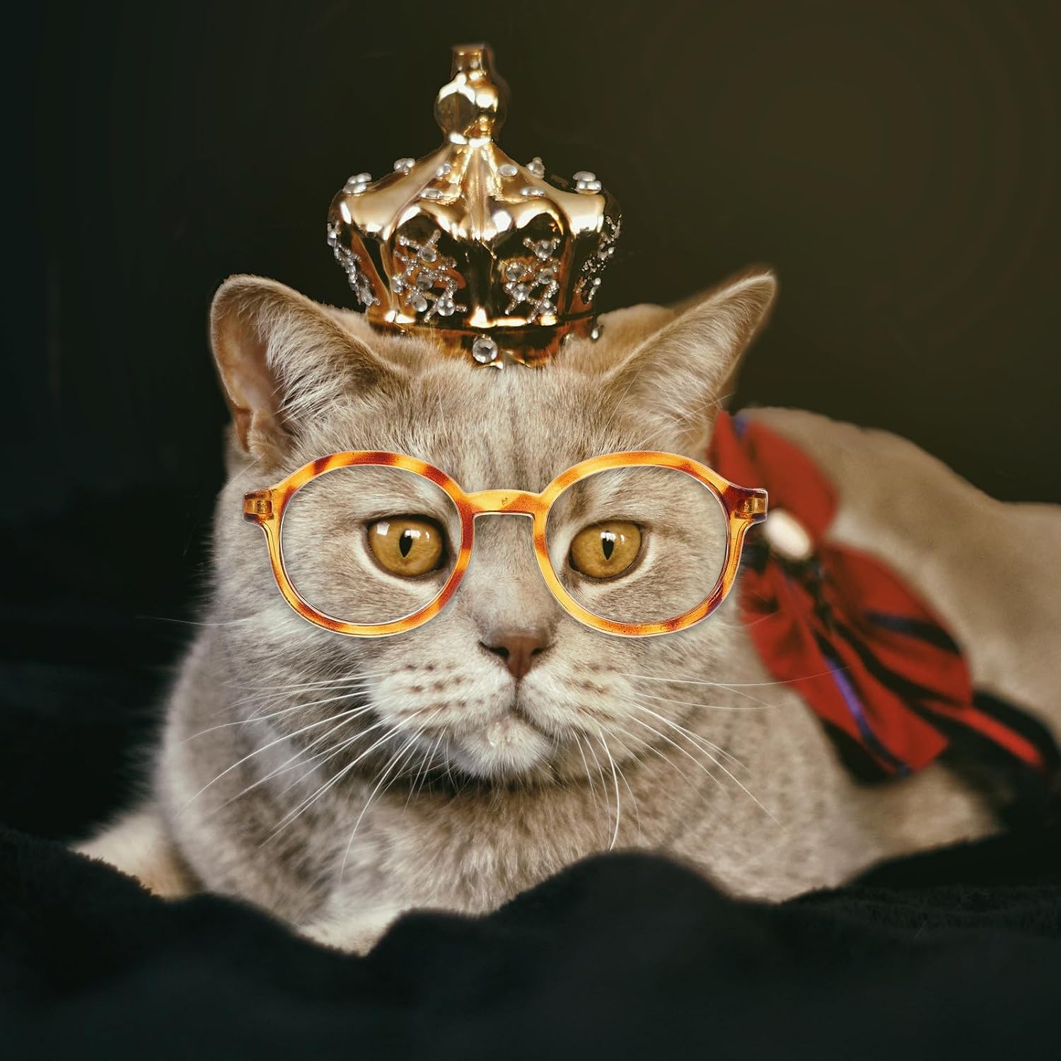 Funny Pet Glasses with Eye Protection 4Pcs Plastic Cat Dog Design image 4