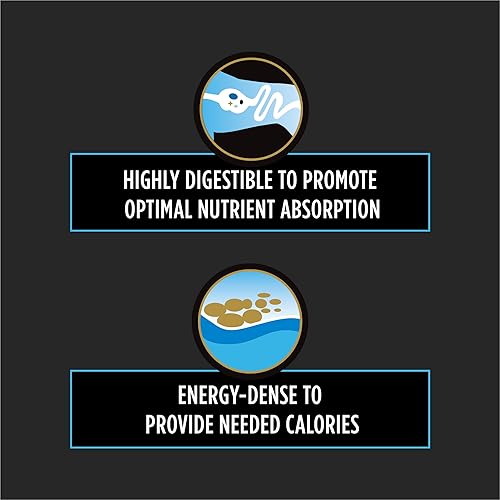 Miniatura 2 de Purina Pro Plan Veterinary Diets CN Critical Nutrition - Alimento húmedo para perros y gatos de fórmula canina y felina (paquete de 24) latas de 5.5