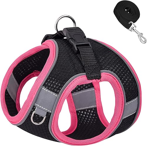Miniatura 2 de KocaPlye Juego de arnés y correa para perro, arnés para perro sin tirones, con bandas reflectantes, velcro a prueba de escape, chaleco de malla para