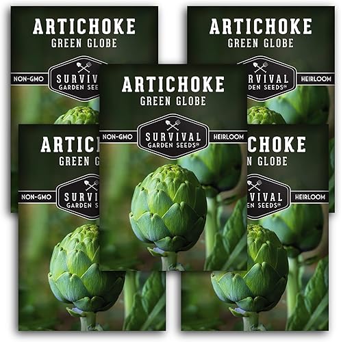 5 paquetes de semillas de alcachofa Green Globe para plantar con instrucciones para cultivar Cynara Scolymus perenne en tu huerto casero, reliquia
