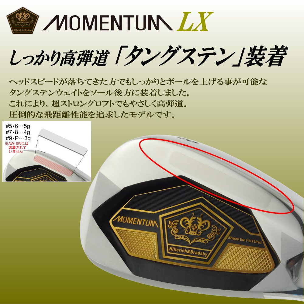 Amazon.co.jp: パワービルト MOMENTUM(モメンタム) LX アイアン 6I~PW 