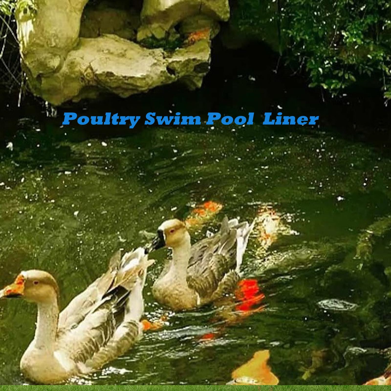 Bâche Bassin Étang 2x3m - HDPE 0.2mm, Noire, Étanche, Résistante UV - Pour Bassin à Poissons, Fontaines, Jardin