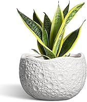 Vista 22 de Macetas de Cerámica Thirtypot - Maceta de 4 Pulgadas con Agujero de Drenaje, Macetas Pequeñas para Plantas de Interior y Exterior, Maceta Redonda