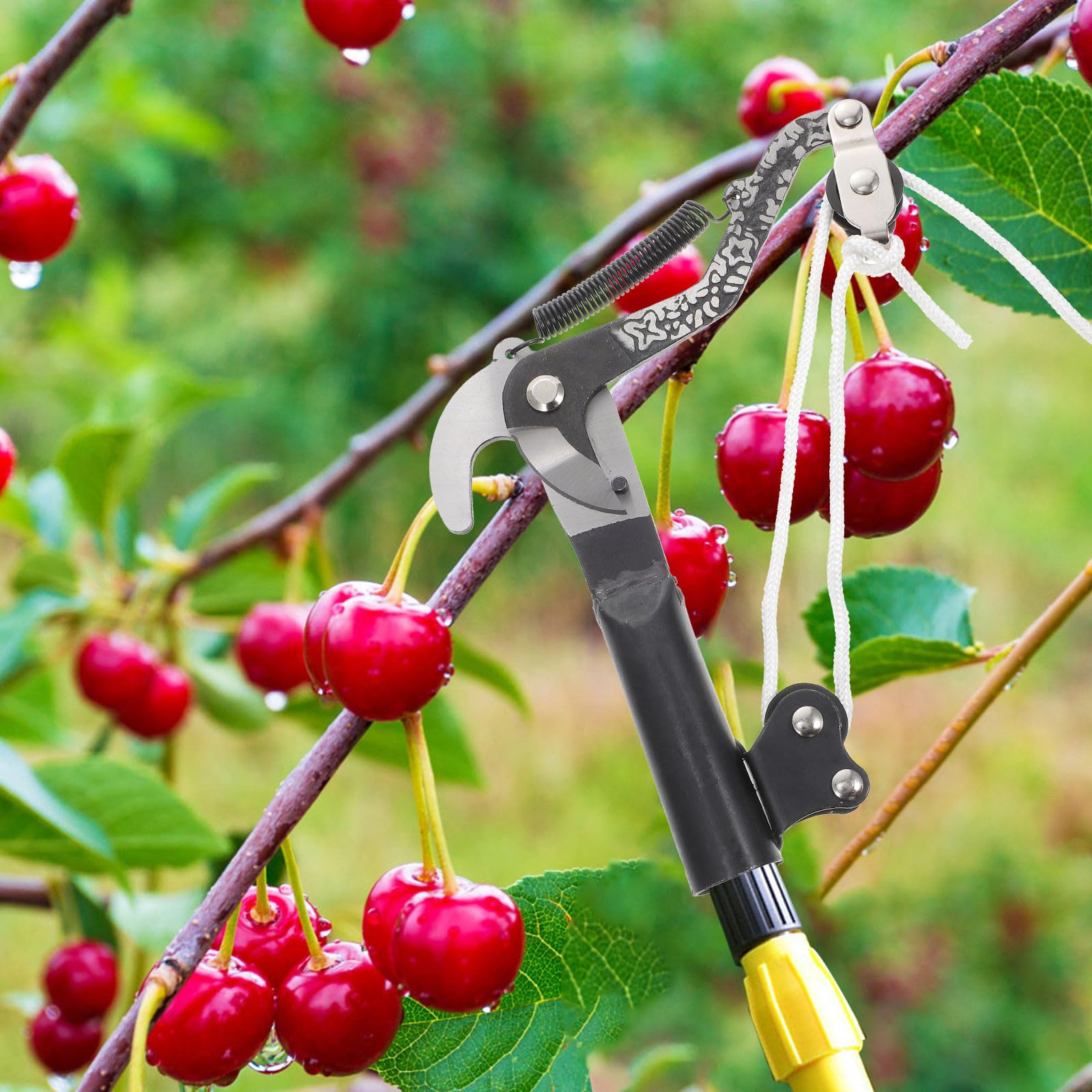 Kichvoe Cesoie da Potatura Telescopiche Molla Ammortizzante, Forbici da Giardinaggio Multiuso in Acciaio Resistente per Potatura Piante e Fiori, Attrezzo Domestico per Giardinieri